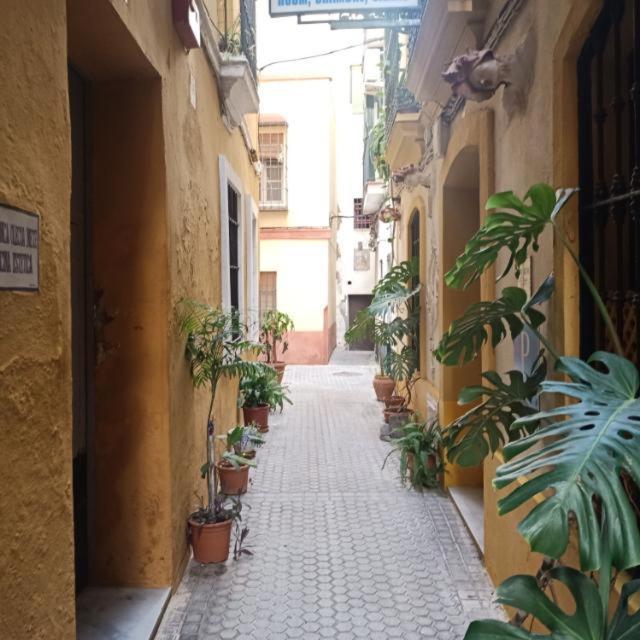Light Of Seville Exterior photo